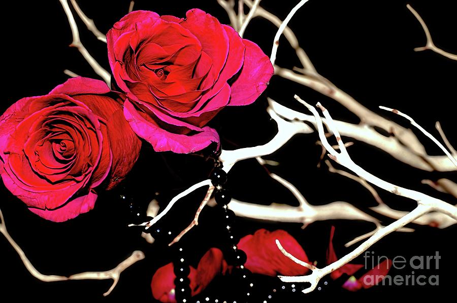 Deep Pink Photograph by Diana Mary Sharpton