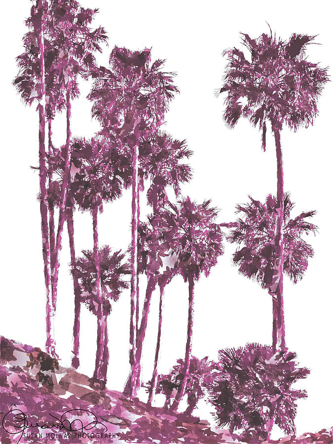 Deep Pink Palms Photograph by Susan Molnar