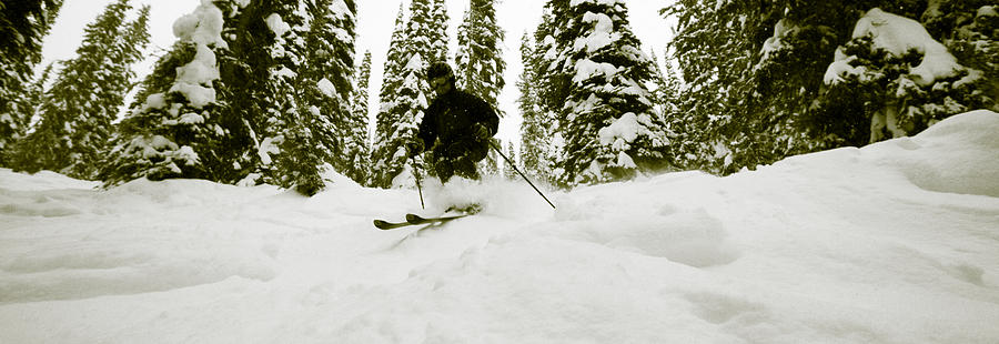 Deep powder in the glades of Whitewater Resort Photograph by Hans Neleman
