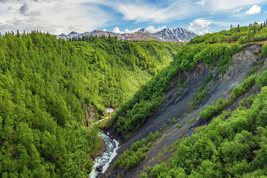 Deep Ravine Photograph by Andrew Kazmierski - Pixels