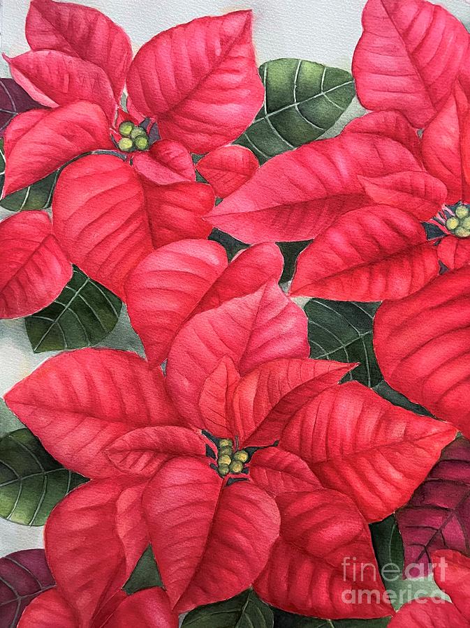 Deep Red Poinsettia Painting by Inese Poga