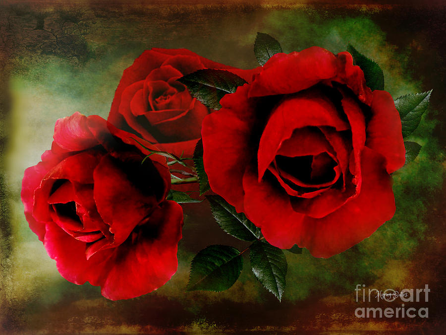 Deep Red Rose Trio Digital Art by Morag Bates