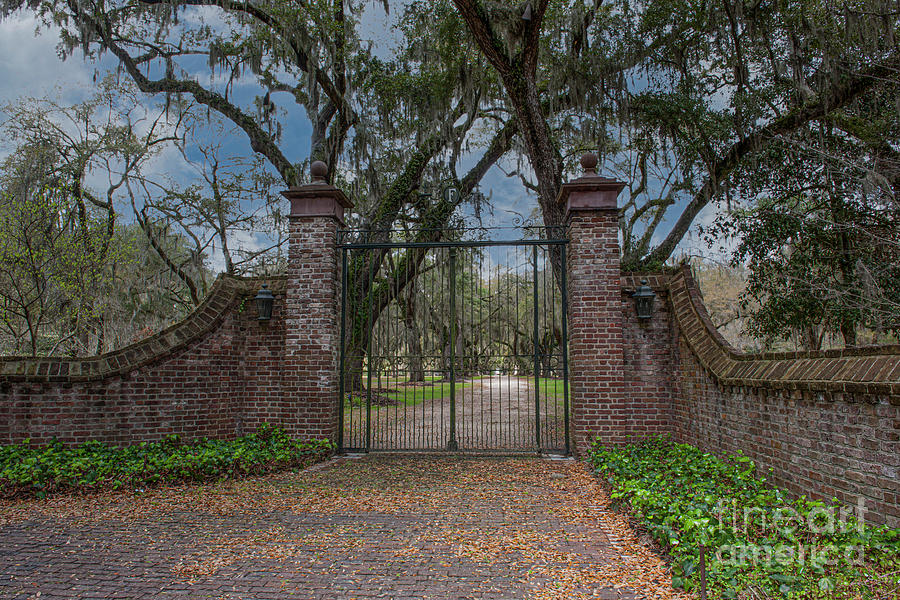 Deep South - Fenwick Hall Plantation Entrance - Charleston South Carolina Photograph