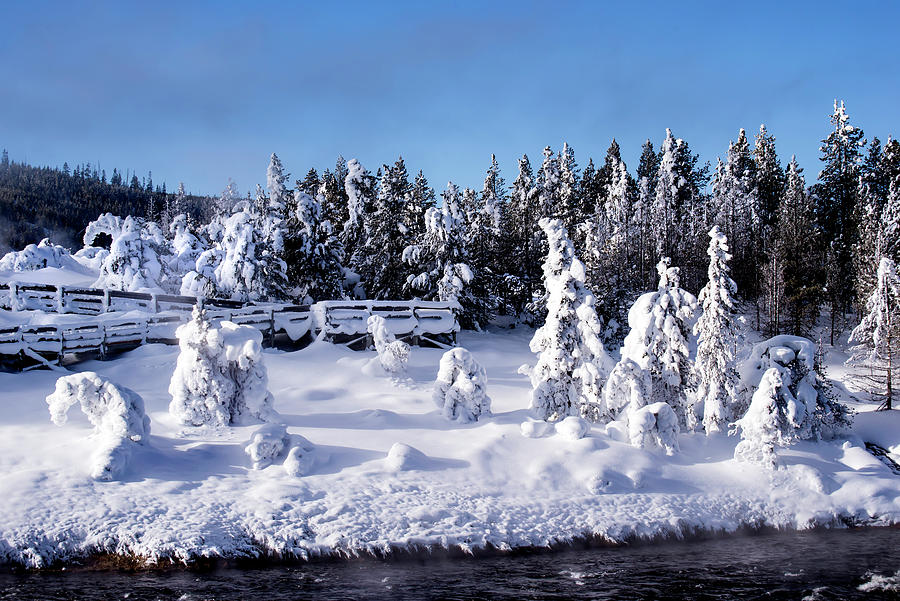 Deep Winter Photograph by Greg Sigrist