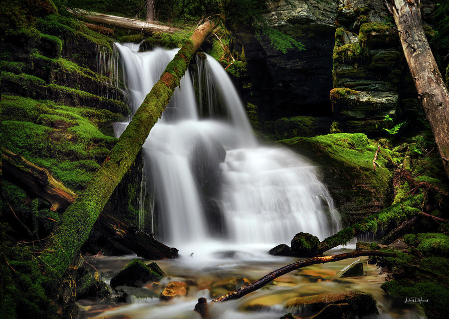 Deep Woods Waterfall Photograph by Leland D Howard