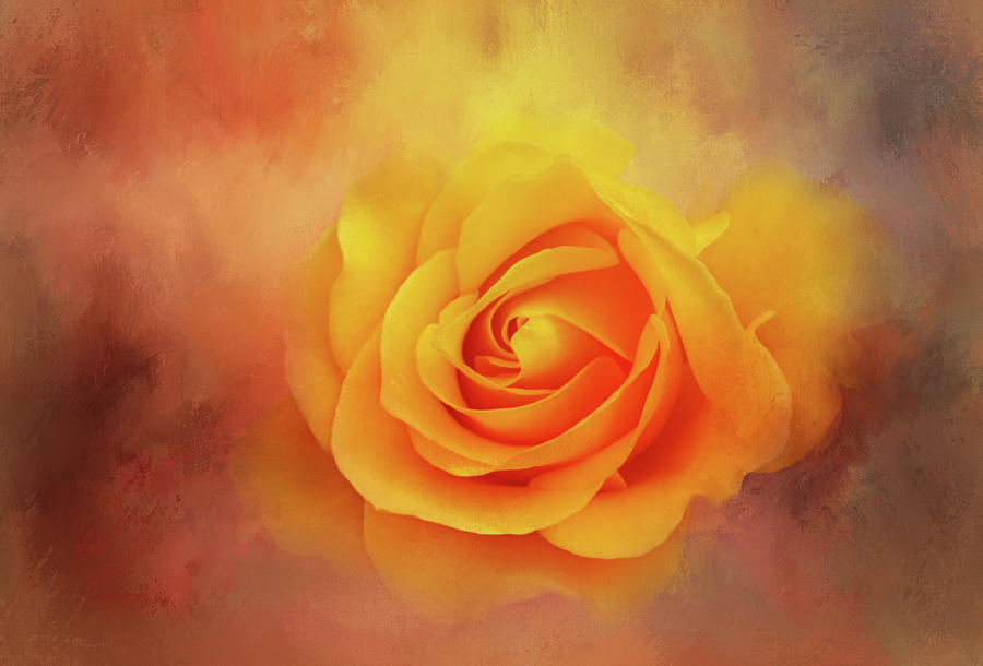 Nature Digital Art - Deep Yellow Rose by Terry Davis