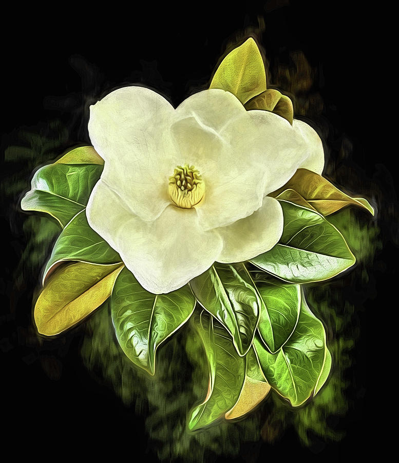 Deeply Southern Bouquet Digital Art by JC Findley