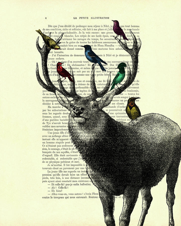 Deer Mixed Media - Deer and birds by Madame Memento