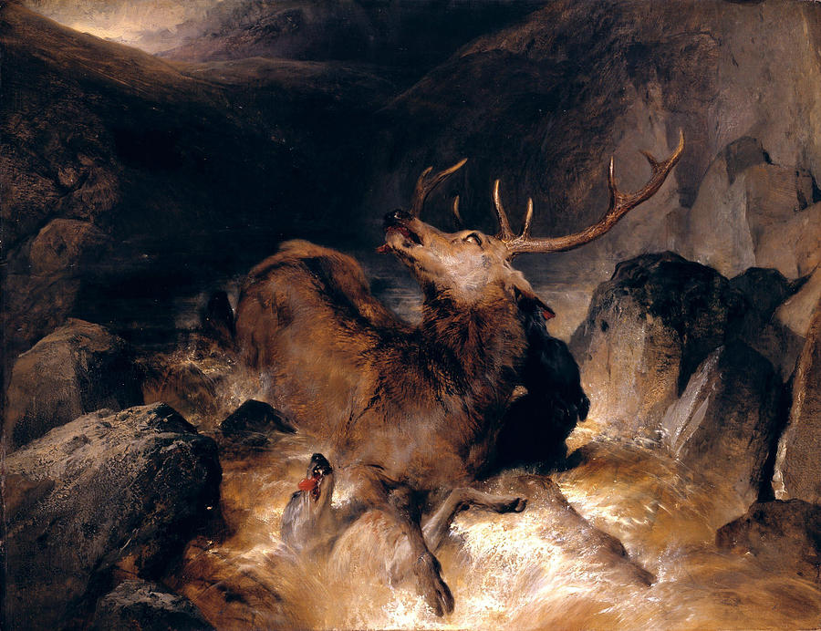 Edwin Landseer Painting - Deer and Deer Hounds in a Mountain Torrent  by Edwin Landseer