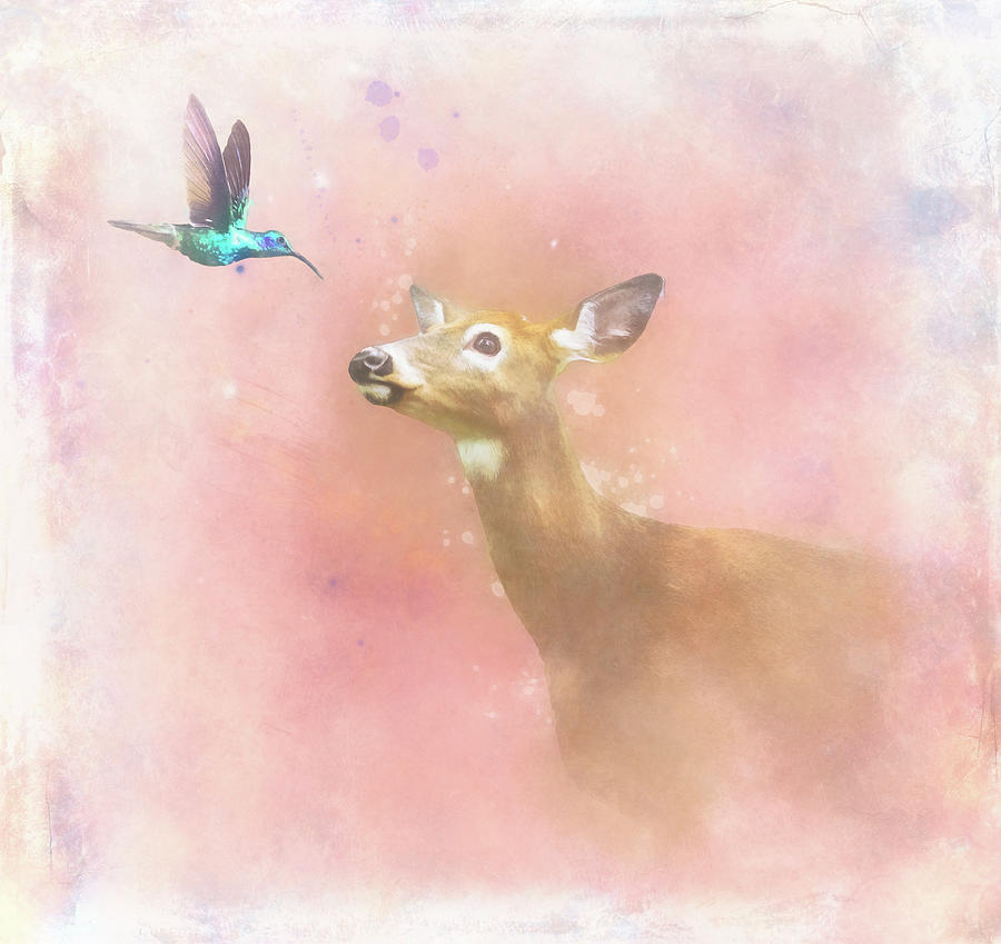 Deer And The Hummingbird Watercolor Painting by Dan Sproul