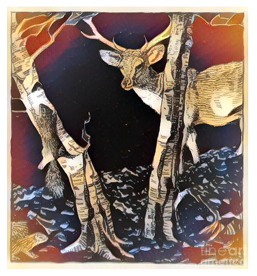 Deer Behind A Tree Mixed Media by Art MacKay