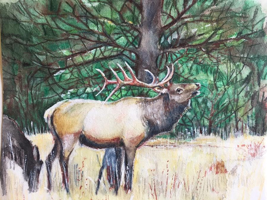 Deer Painting by Carolina Prieto Moreno