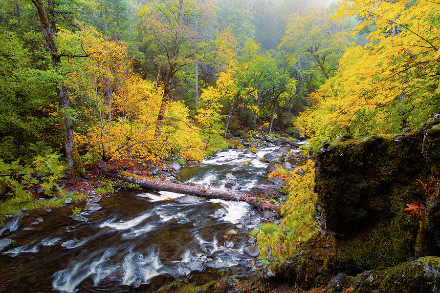 Deer Creek Autumn Splendor Photograph by Mike Lee