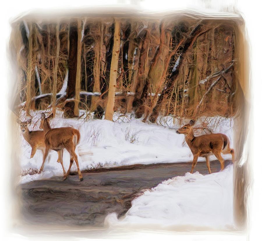 Deer Crossing in the Snow Digital Art by Cordia Murphy