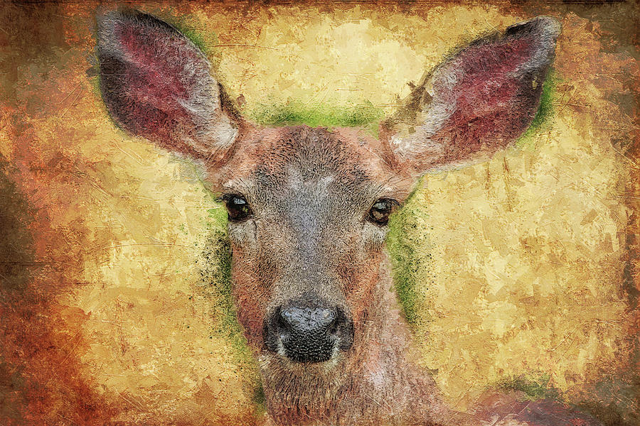Deer Painting by Dan Sproul