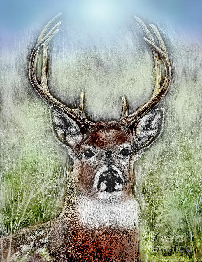 Deer Etching Color Mixed Media by Pat Davidson