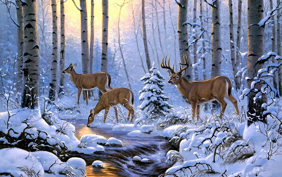 A Deer Family Winter Sunrise Scene Mixed Media by Sandi OReilly