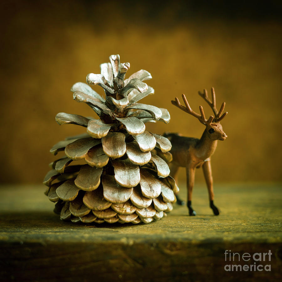 Christmas Photograph - Deer figurine and christmas pine cones decoration by Bernard Jaubert