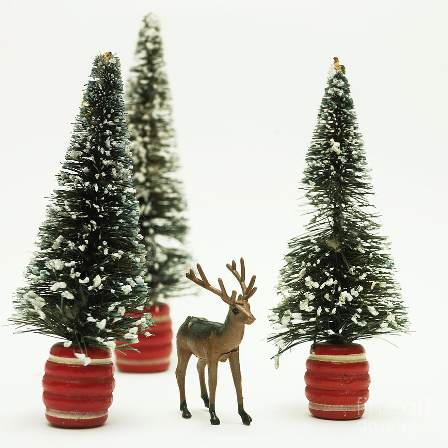Christmas Photograph - Deer figurine toy by Bernard Jaubert