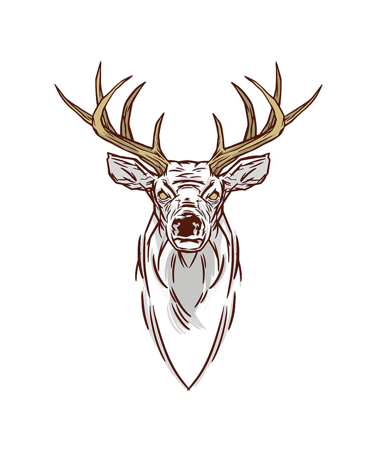 Head of deer illustration sketch hand drawn vector:: tasmeemME.com
