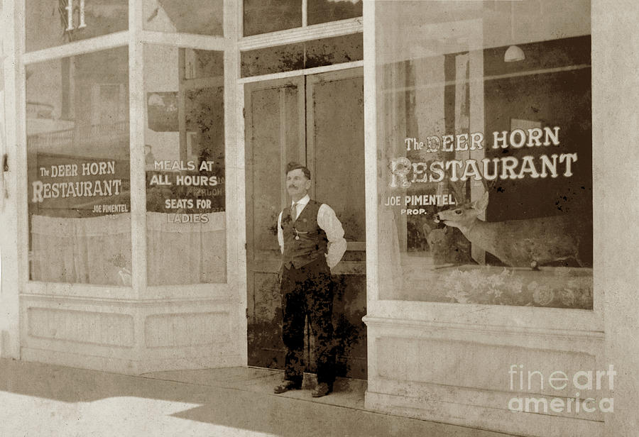 Deer Horn Photograph - Deer horn Rest. 11 Squel Ave., Santa Cruz,Circa 1920 by Monterey County Historical Society