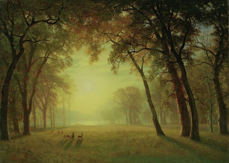 Albert Bierstadt  Painting - Deer in a clearing, yosemite by Aesthetics Store
