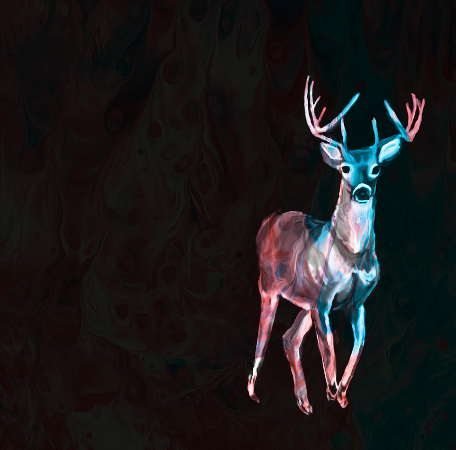 Deer in Christmas Lights on Black Mixed Media by Eileen Backman