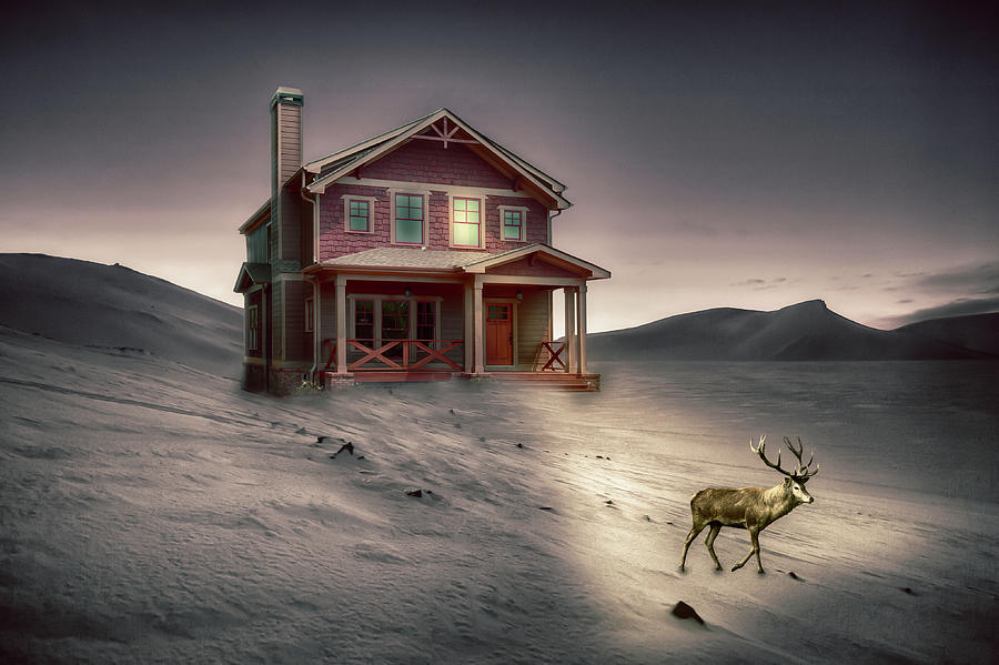 Deer in Front Yard by Alison Frank Deer in Front Yard by Alison Frank