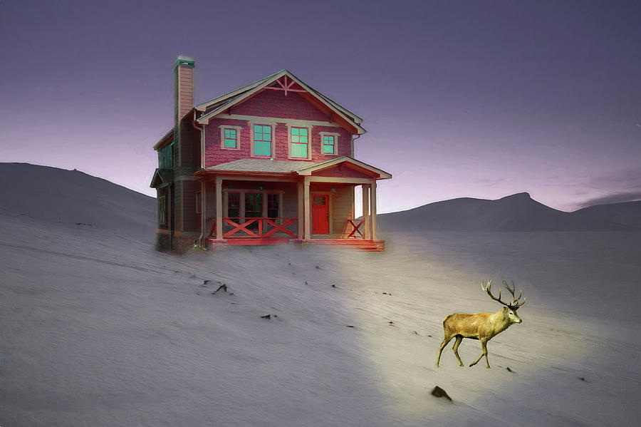 Deer in Front Yard II by Alison Frank Deer in Front Yard II by Alison Frank