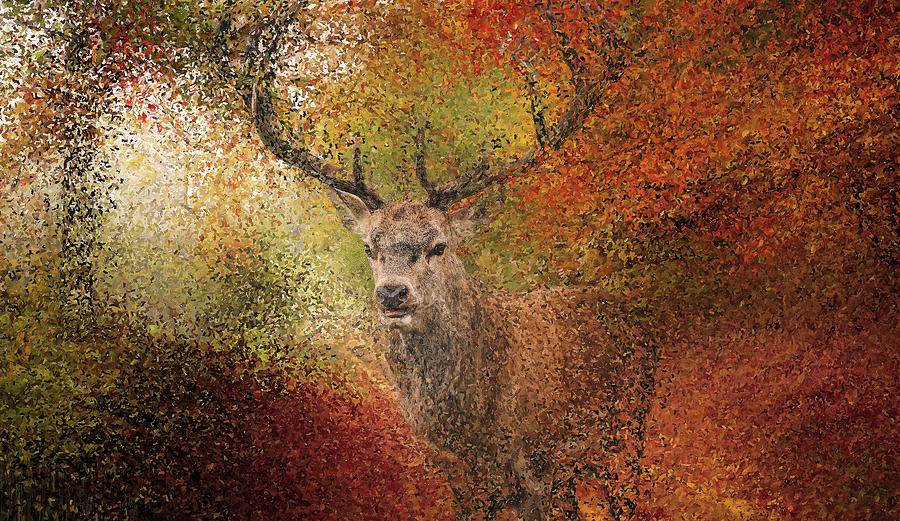 Deer in the autumn forest Painting by Alex Mir