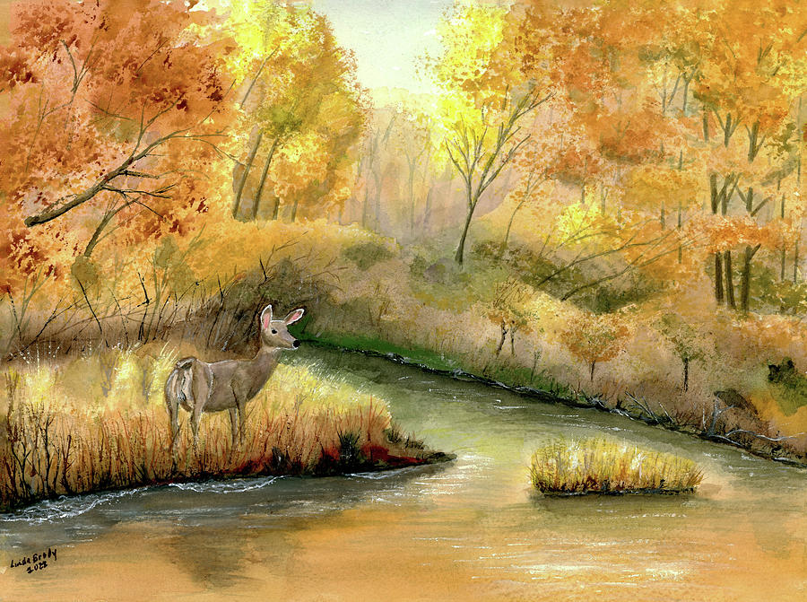 Deer in the Brush Painting by Linda Brody