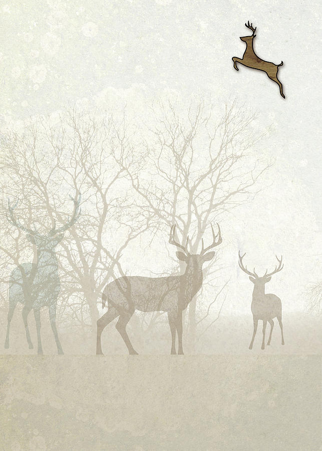 Deer in the Fog Digital Art by Doreen Erhardt