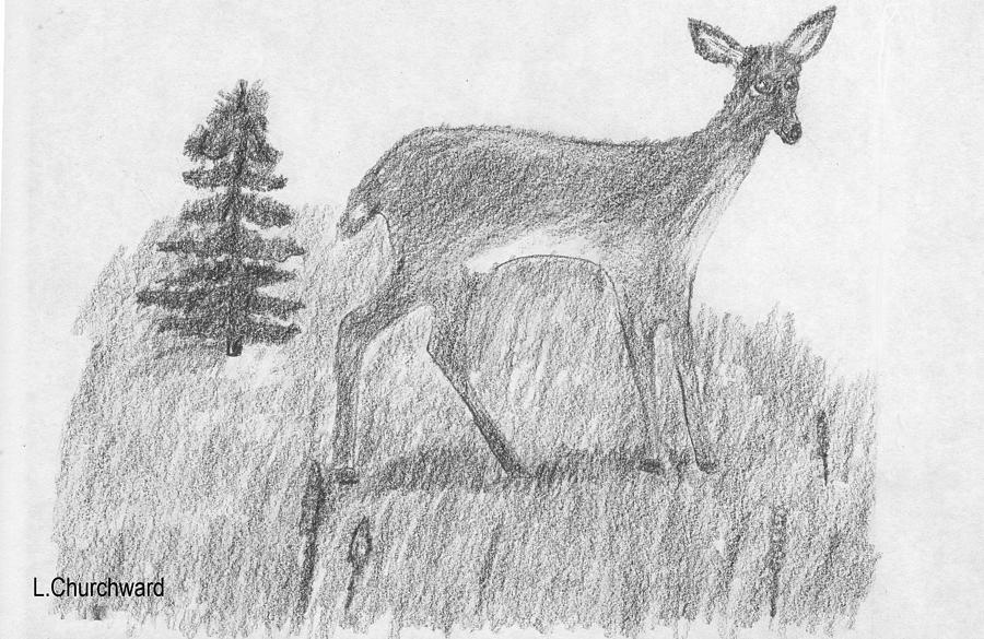 Sketching a roe deer - commission for a client #sketch #brocard #roedeer  #art #... - Stéphane Alsac