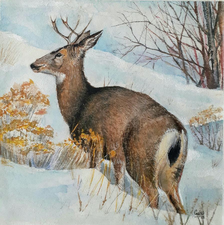 Deer in the snow Painting by Carolina Prieto Moreno