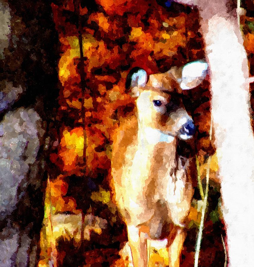 Deer in the Woods Mixed Media by Christopher Reed