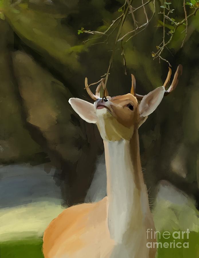 Nature Digital Art - Deer by Joshua Barrios