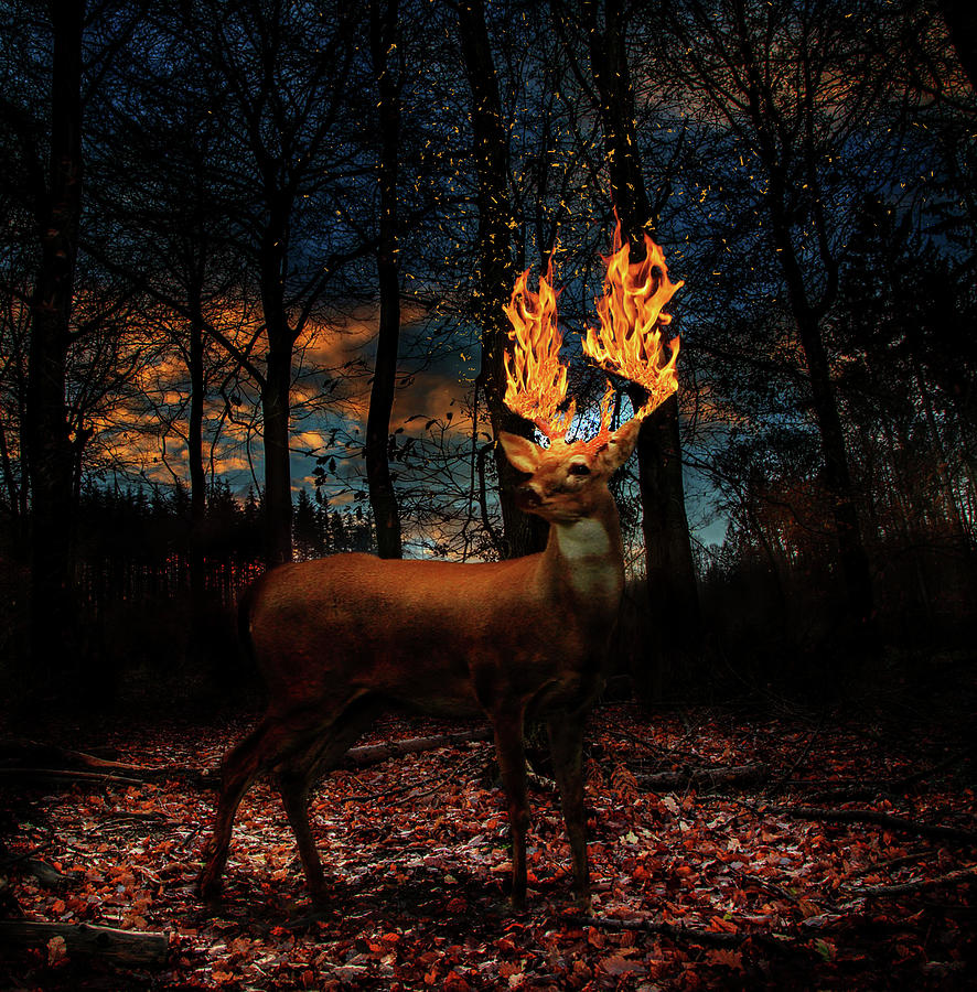 Deer Digital Art - Deer on Fire by Barroa Artworks Deer Digital Art - Deer on Fire by Barroa Artworks
