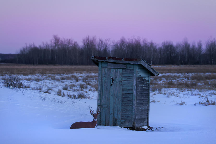Deer Outhouse Photograph by Brook Burling