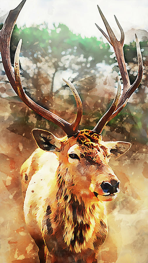Deer Portrait - 01 Painting by AM FineArtPrints