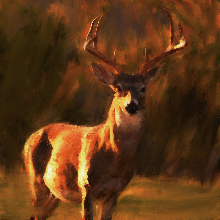 Deer Portrait - 04 Painting by AM FineArtPrints