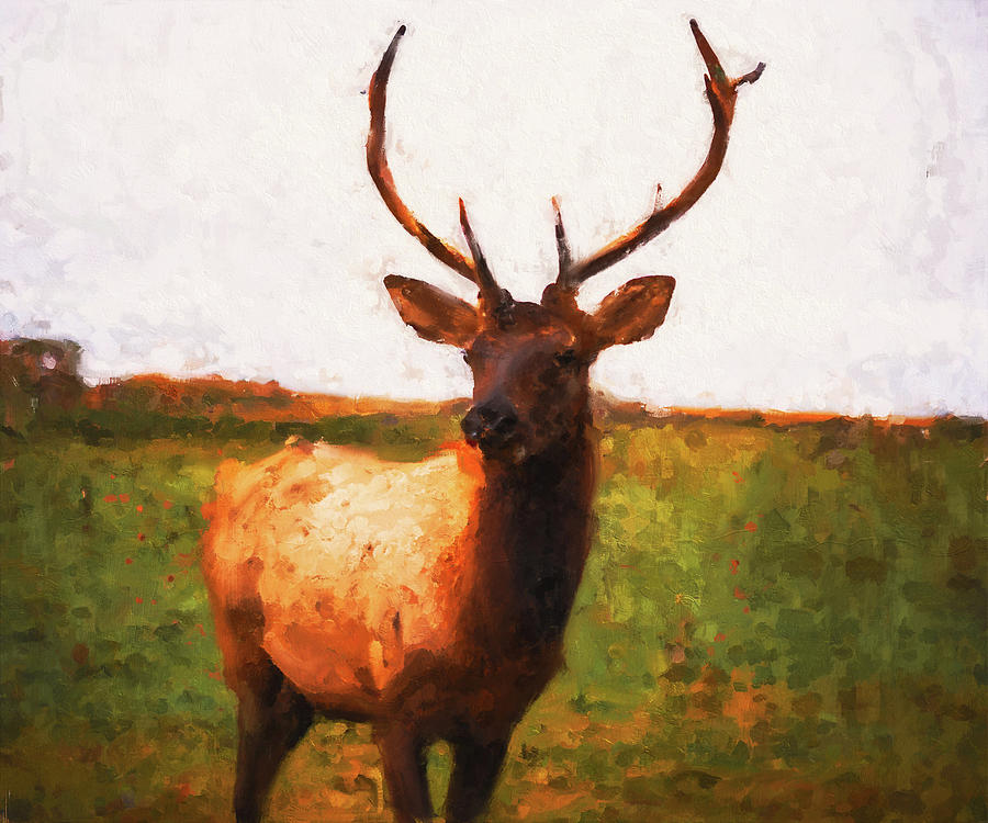Deer Portrait - 05 Painting by AM FineArtPrints