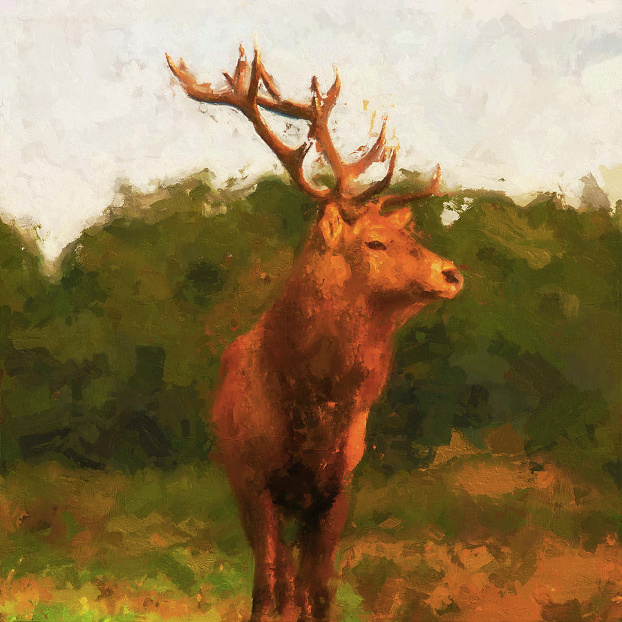Deer Portrait - 06 Painting by AM FineArtPrints