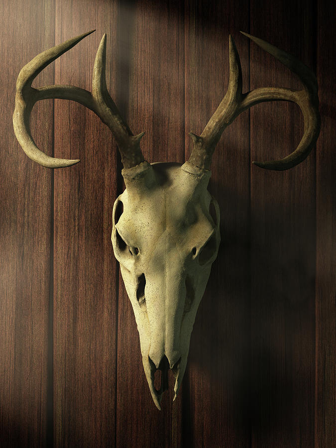 Deer Skull Digital Art by Daniel Eskridge