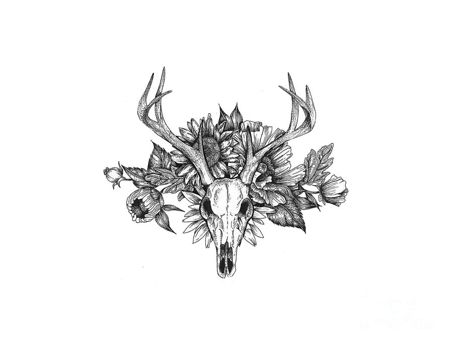 deer skulls drawings