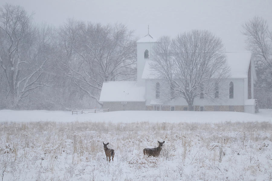 Deer St Johns Church Photograph by Brook Burling