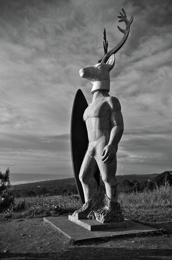 Deer Photograph - Deer Surf Statue in Nazare by Angelo DeVal