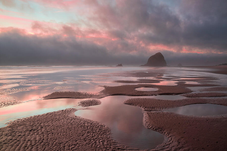 Forbidden Coast #1 Photograph by Scott Warner