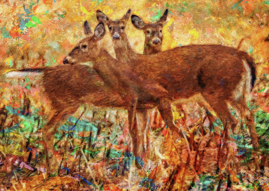Deer Trio Color Splash Painting by Dan Sproul