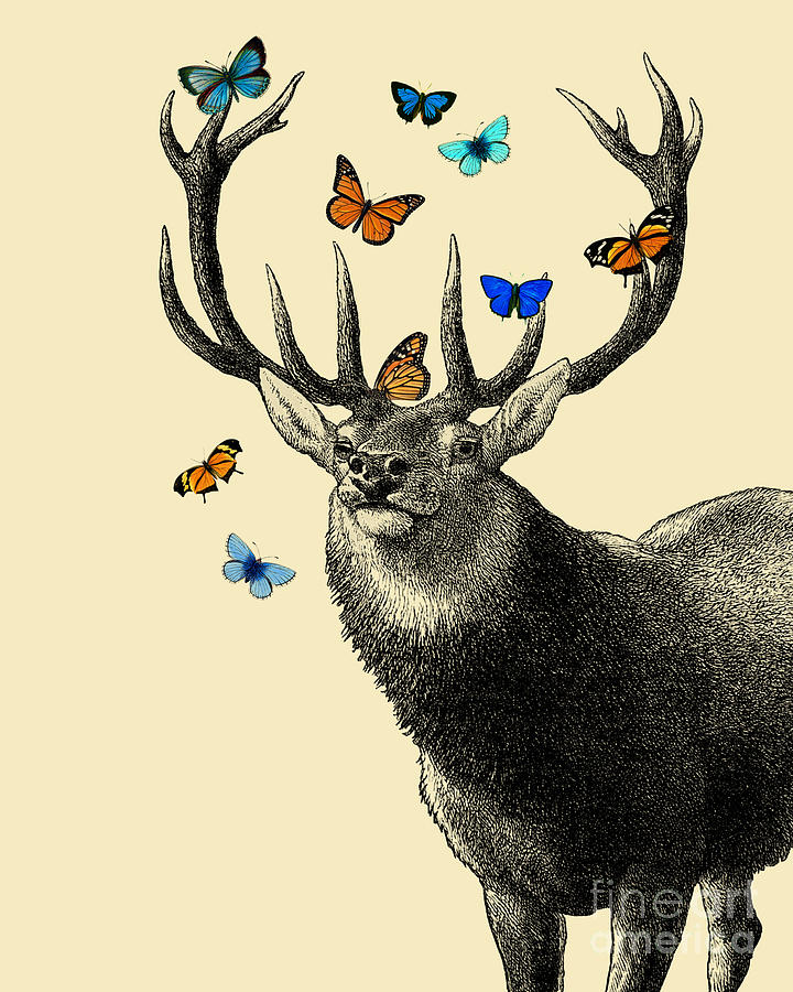 Deer Digital Art - Deer with blue and orange butterflies by Madame Memento