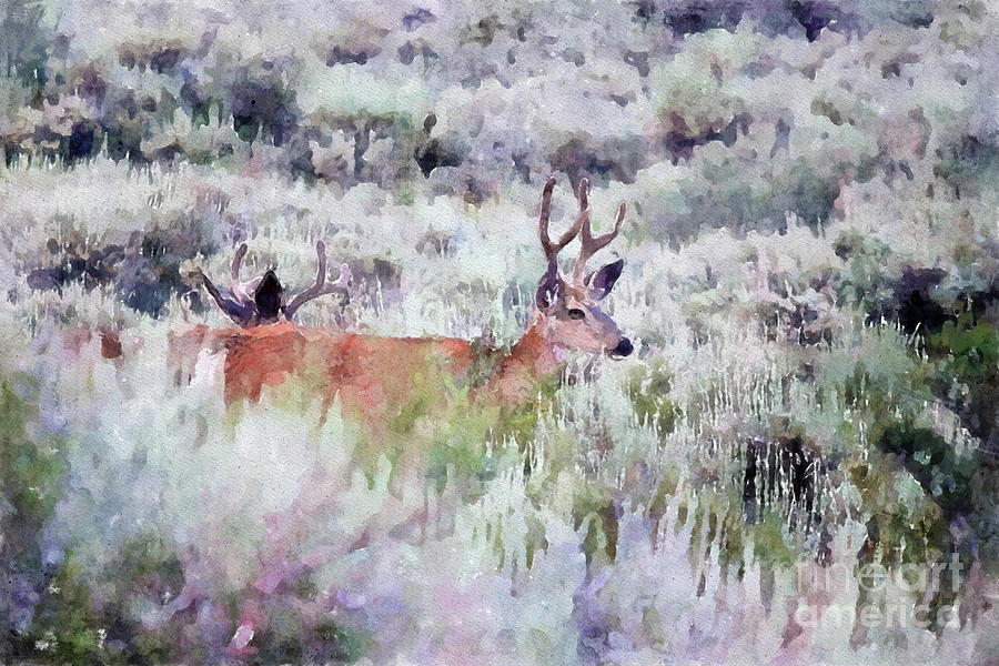 Deer9 Photograph by Mark Jackson